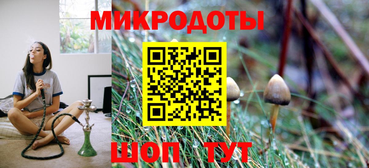 купить наркотики сайты  Вход с VPN  Ефремов  Псилоцибиновые грибы прущие грибы 